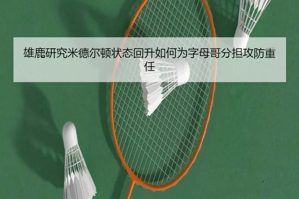 雄鹿研究米德尔顿状态回升如何为字母哥分担攻防重任